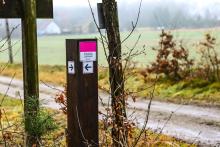 Trasa pieszo - biegowa Leśne Stawy